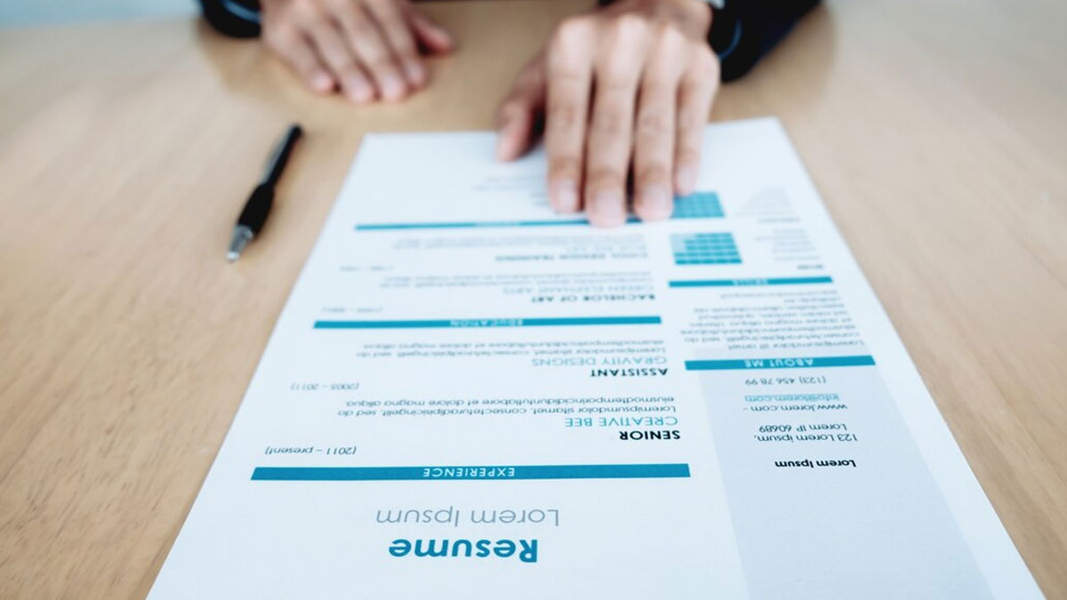 Plantillas curriculum vitae