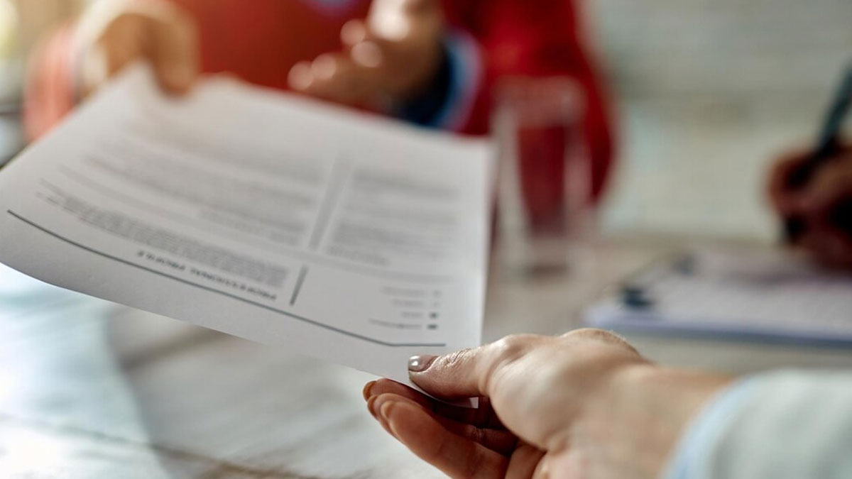 Plantillas curriculum vitae